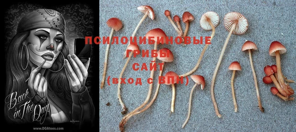 кокаин перу Инта
