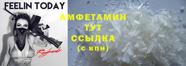 молекула духа Арсеньев