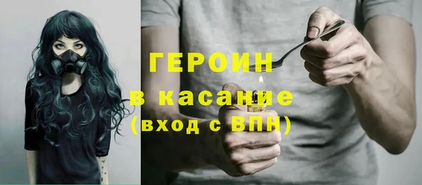 молекула духа Арсеньев
