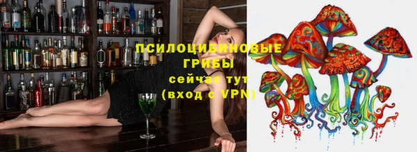 молекула духа Арсеньев