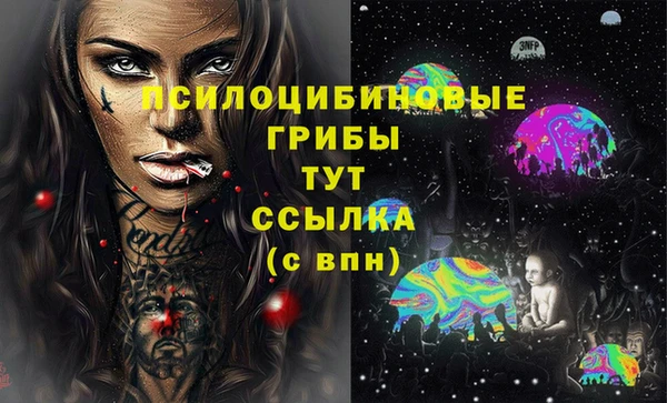 дживик Аркадак