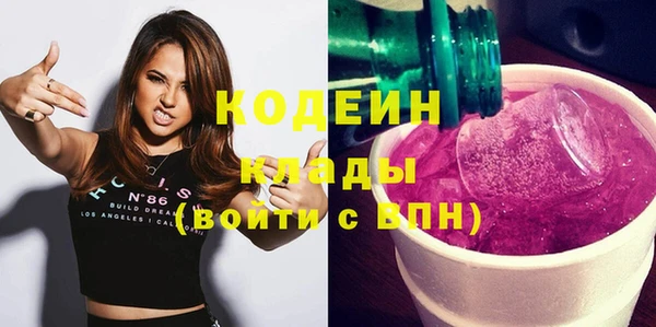 молекула духа Арсеньев